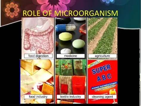  ¿Kairomonas: Un Microorganismo Con Propiedades Inusuales para la Industria Alimentaria?