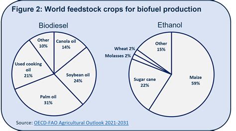  Barley: Uncovering the Potential for Biofuel Production and Animal Feed Innovation!